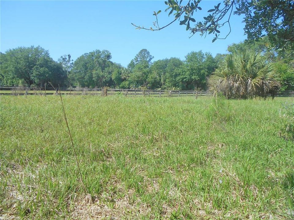 3 BEAUTIFUL ACRES!