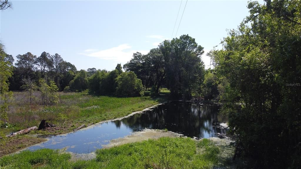 POND VIEW