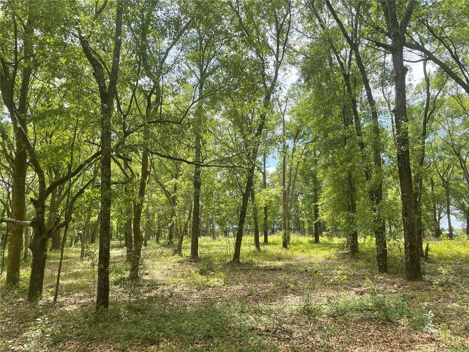 Recently Sold: $115,000 (10.00 acres)