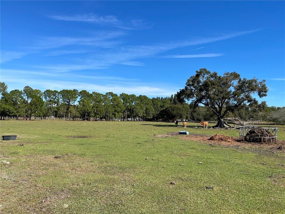 Recently Sold: $90,000 (5.17 acres)