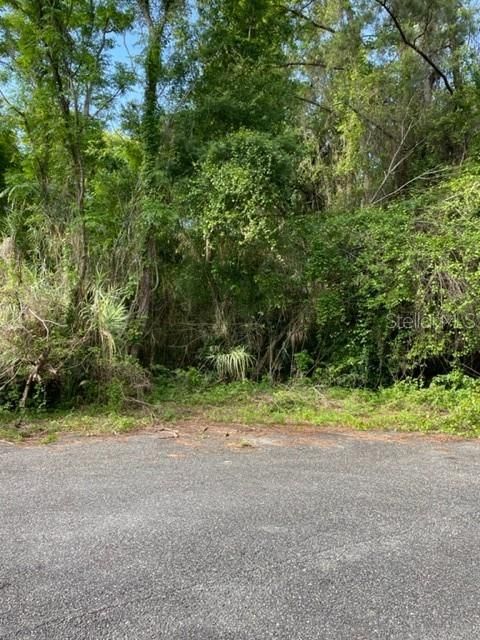 Active With Contract: $24,900 (0.50 acres)