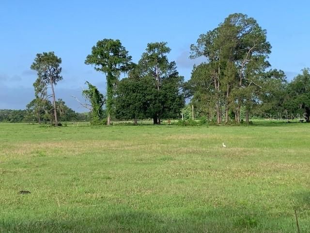 Recently Sold: $188,500 (13.00 acres)