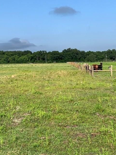 Recently Sold: $188,500 (13.00 acres)