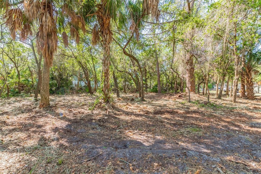 Recently Sold: $125,000 (0.28 acres)