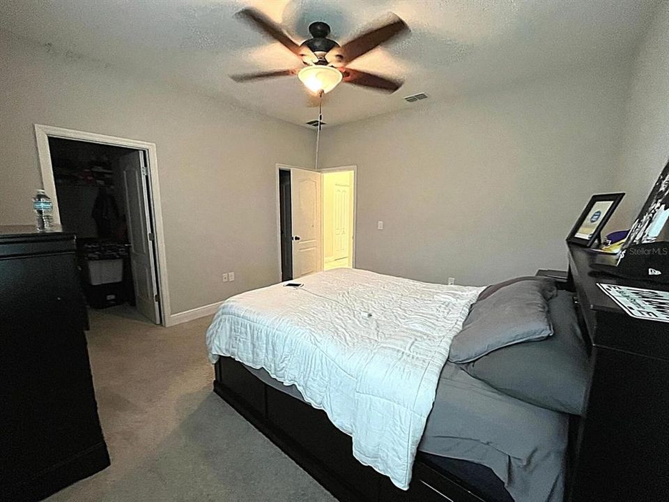 Downstairs Master bedroom with walk-in closet and ensuite