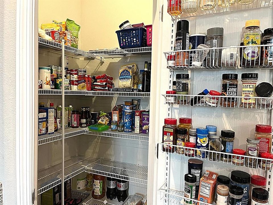 Walk-in Pantry with shelving