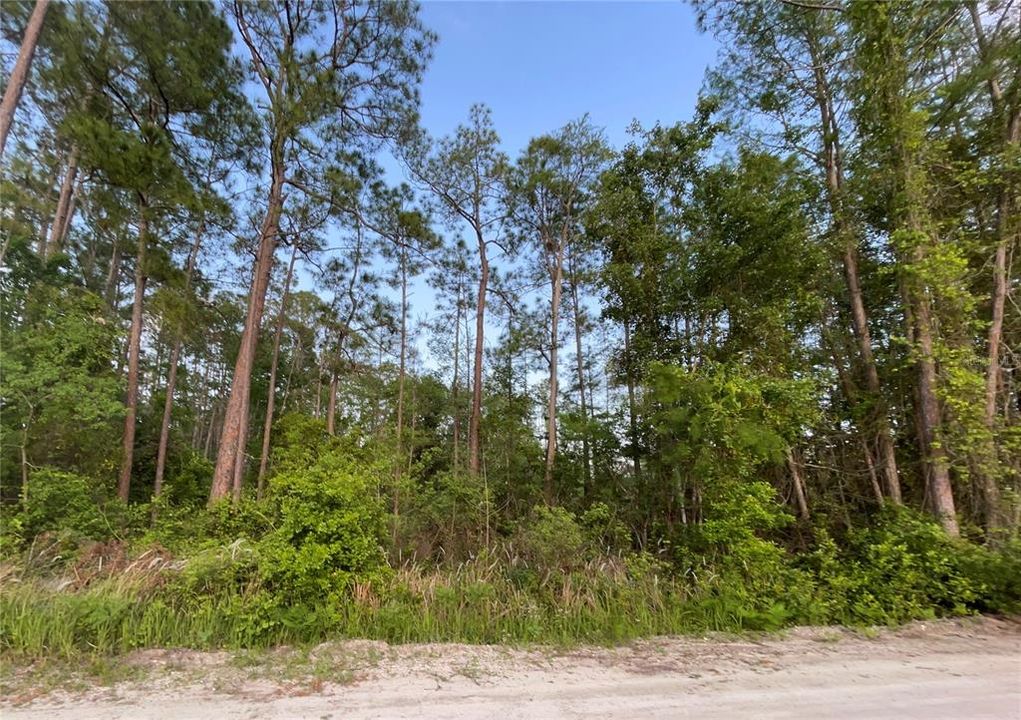 Recently Sold: $15,000 (0.46 acres)