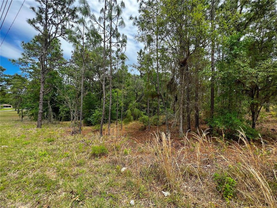 View of property from Kensington Ave