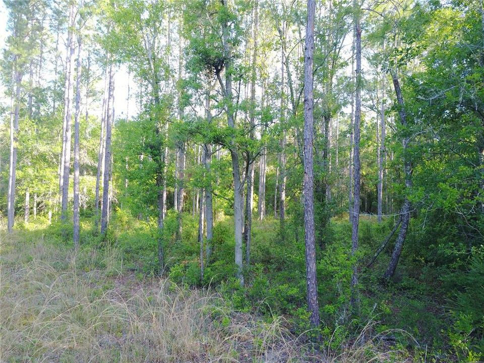 Recently Sold: $134,900 (17.55 acres)