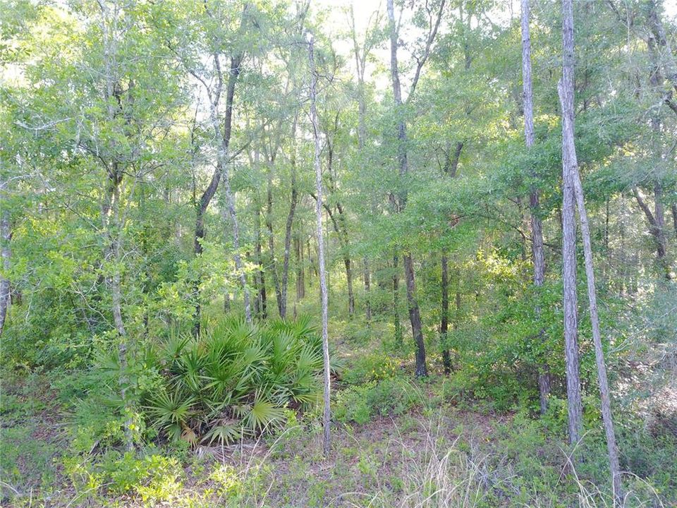 Recently Sold: $134,900 (17.55 acres)