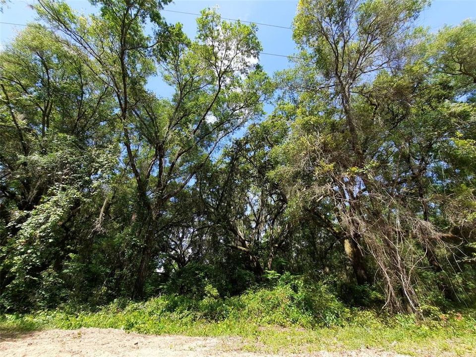 Recently Sold: $9,000 (0.52 acres)