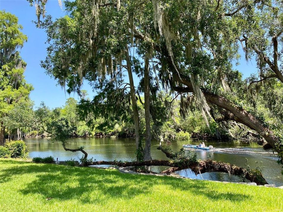 Enjoy nature river with preserve across from property