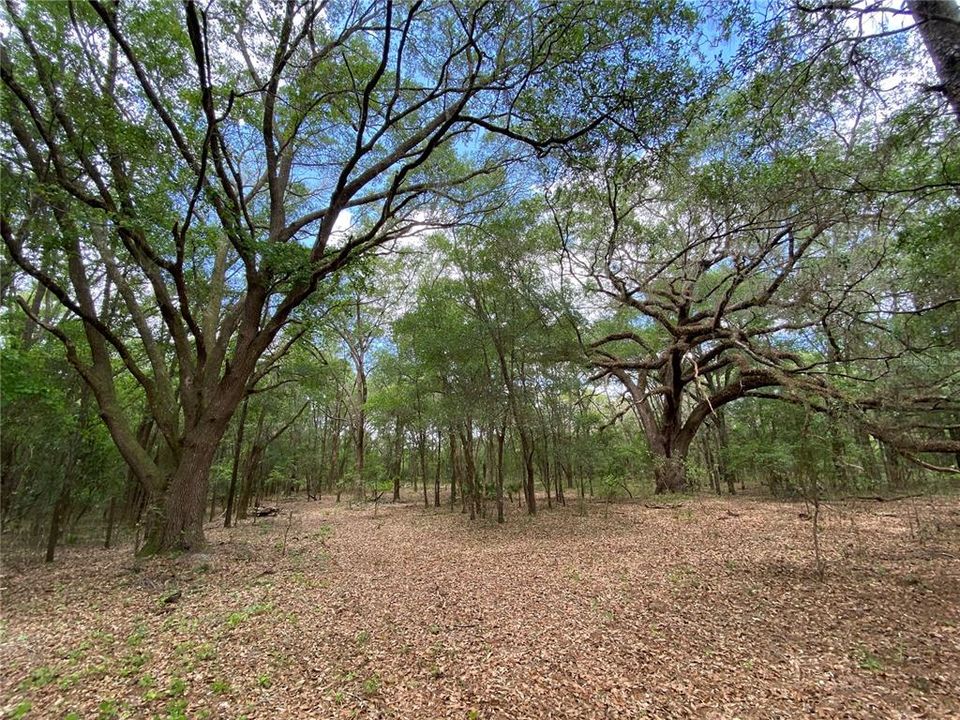 Vendido Recientemente: $109,900 (8.10 acres)