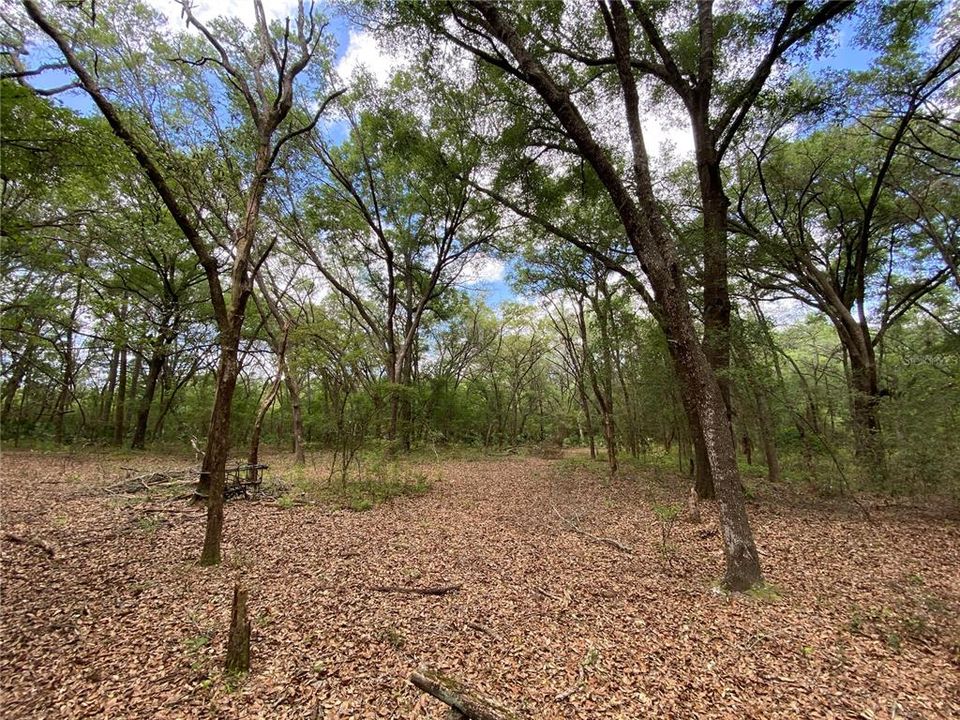 Vendido Recientemente: $109,900 (8.10 acres)