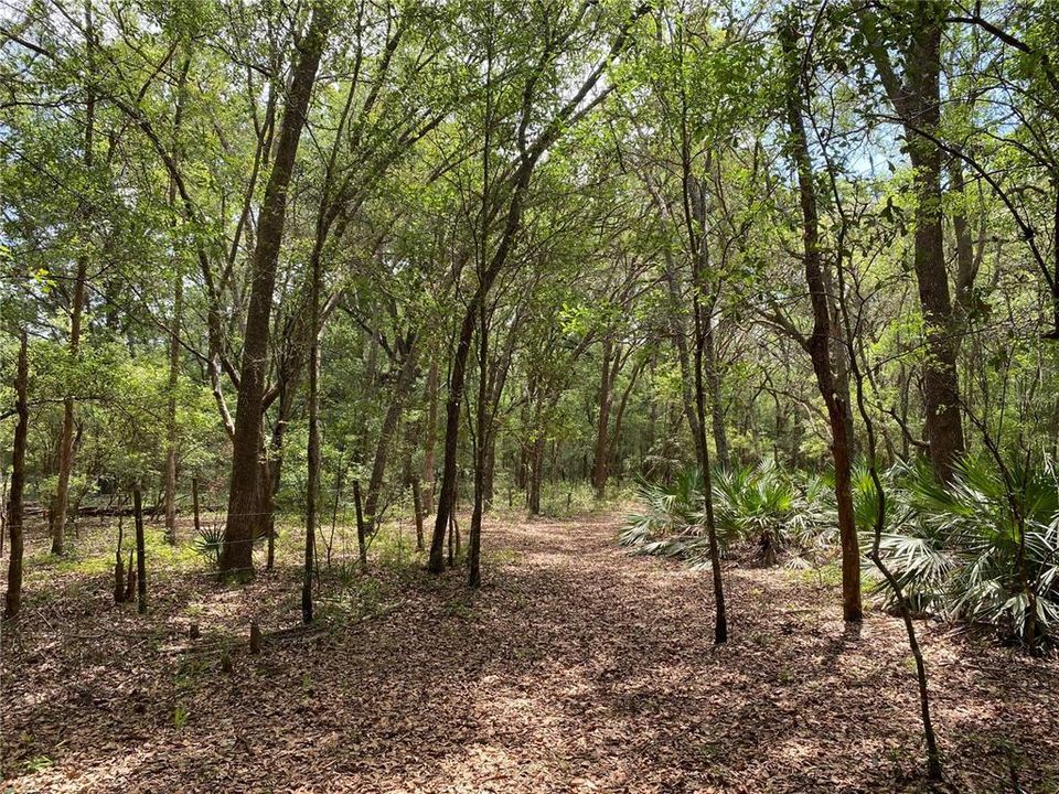 Vendido Recientemente: $109,900 (8.10 acres)