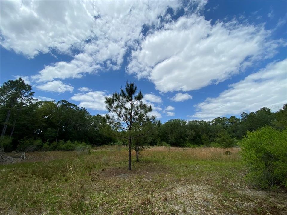 Vendido Recientemente: $109,900 (8.10 acres)