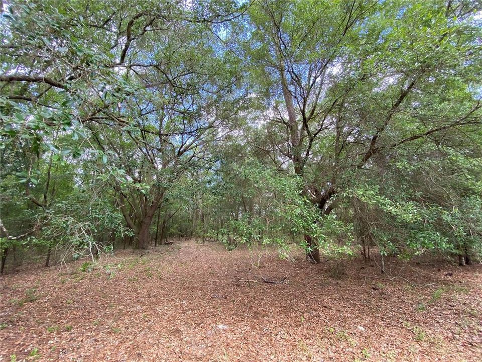 Recently Sold: $109,900 (8.10 acres)