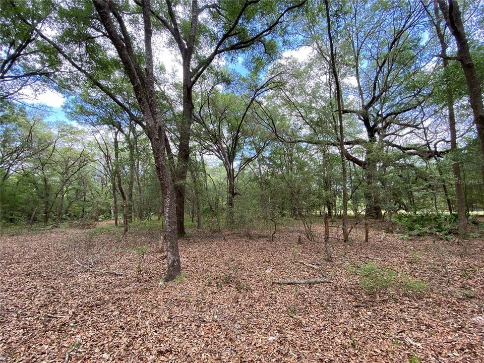 Recently Sold: $109,900 (8.10 acres)
