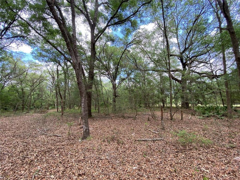 Vendido Recientemente: $109,900 (8.10 acres)