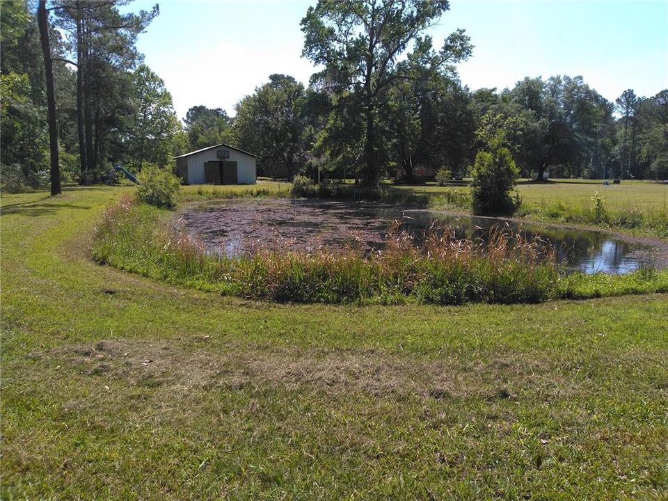 "Fish" pond in NW corner of property