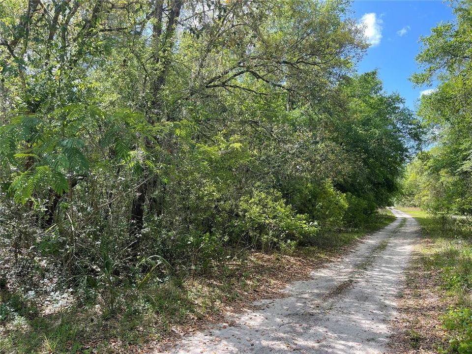Recently Sold: $10,000 (0.49 acres)