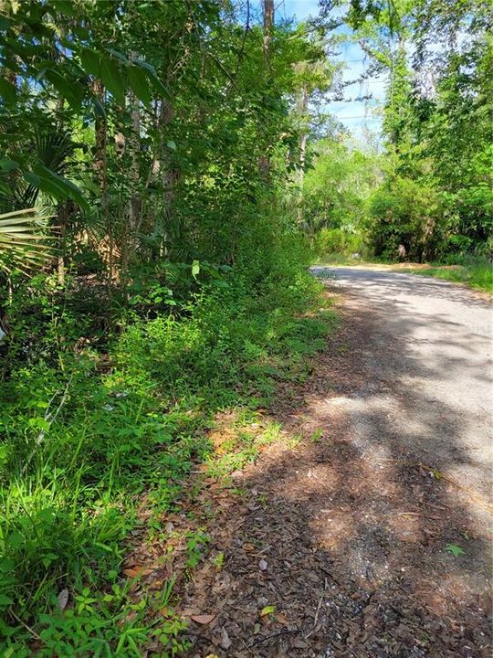Recently Sold: $15,000 (0.30 acres)