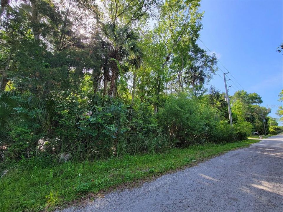 Recently Sold: $15,000 (0.30 acres)