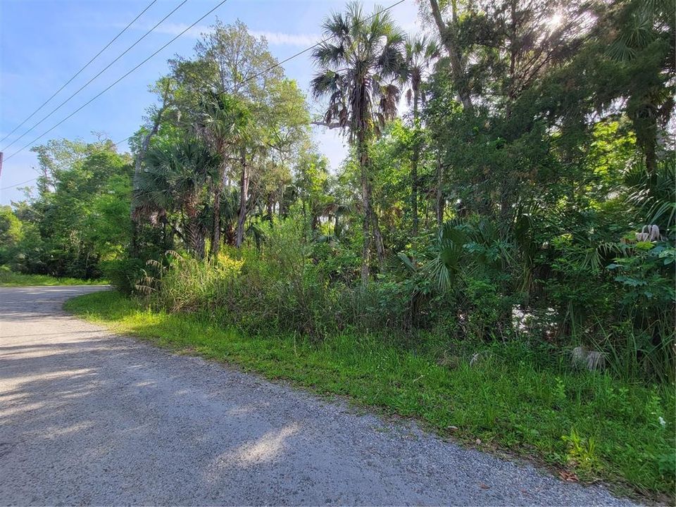 Vendido Recientemente: $15,000 (0.30 acres)