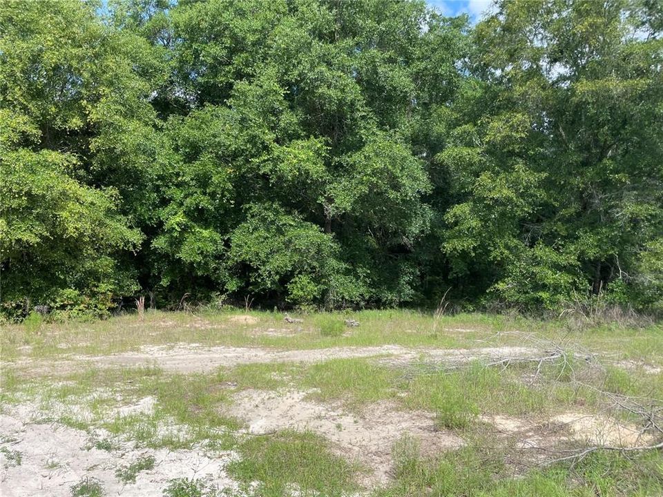 For Sale: $25,000 (0.51 acres)
