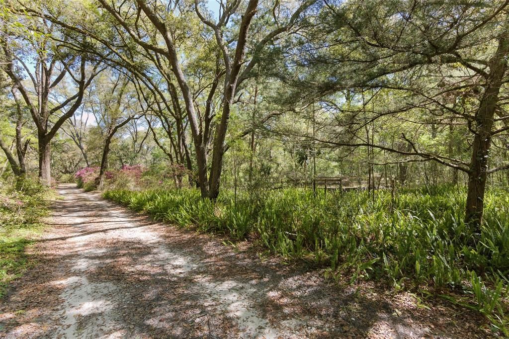 Recently Sold: $199,000 (5.00 acres)