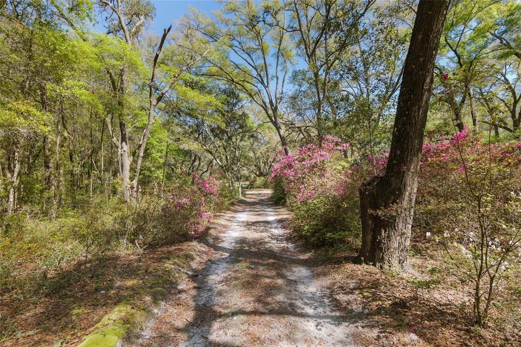 Недавно продано: $199,000 (5.00 acres)