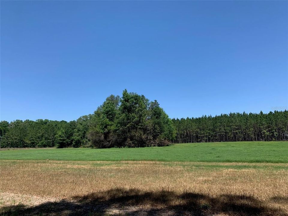 Recently Sold: $450,000 (15.00 acres)