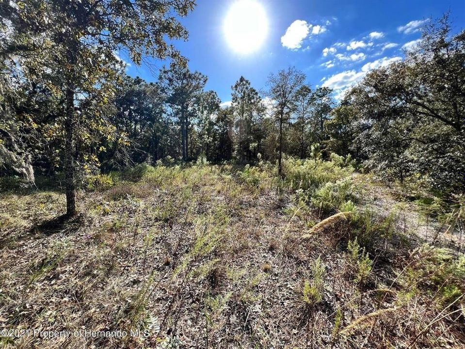 Recently Sold: $35,000 (0.78 acres)