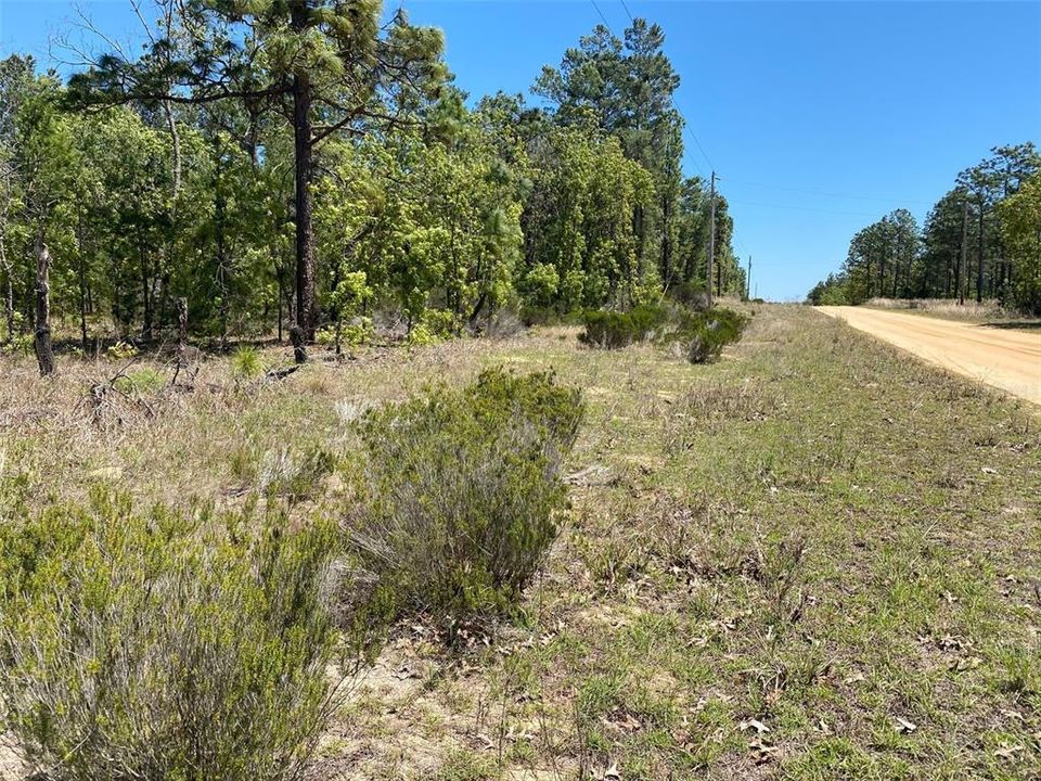 Recently Sold: $62,000 (5.00 acres)
