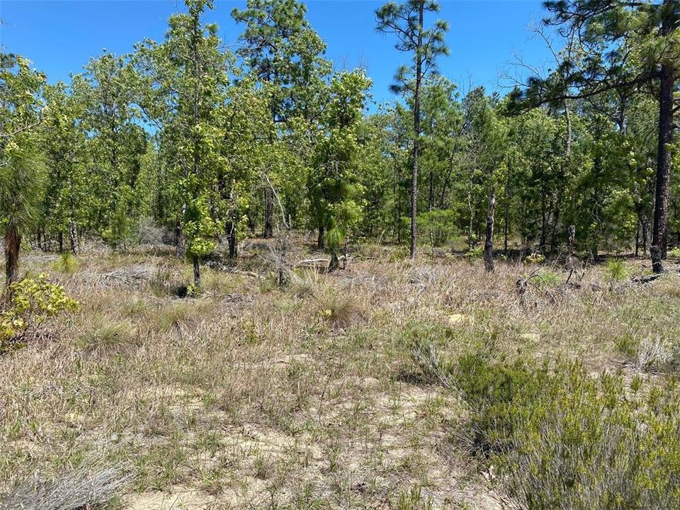 Recently Sold: $62,000 (5.00 acres)