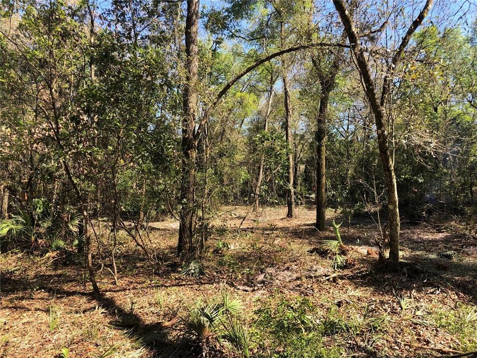 Recently Sold: $36,500 (1.00 acres)
