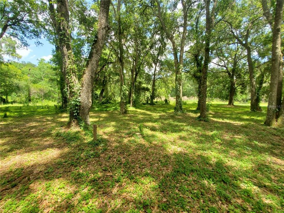 Recently Sold: $69,900 (4.84 acres)