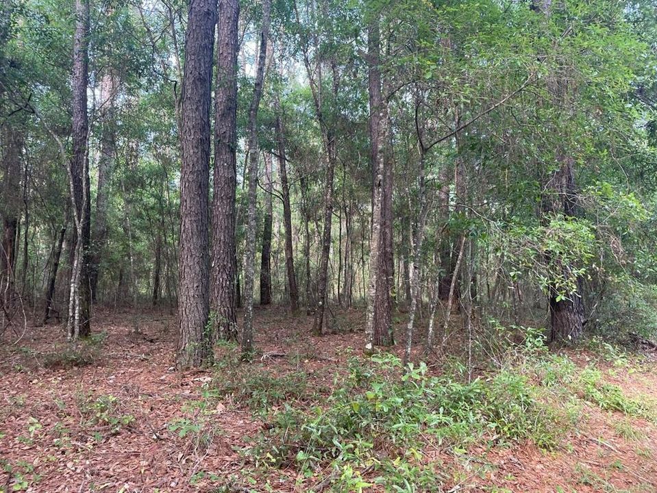 Recently Sold: $28,999 (4.34 acres)