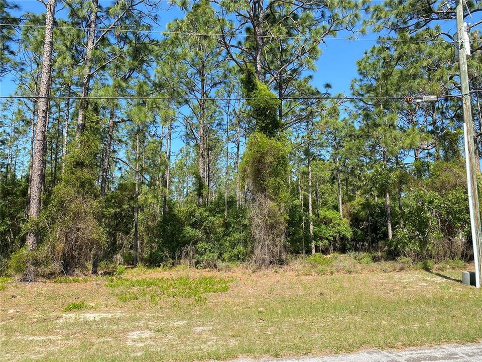 Recently Sold: $59,900 (1.43 acres)