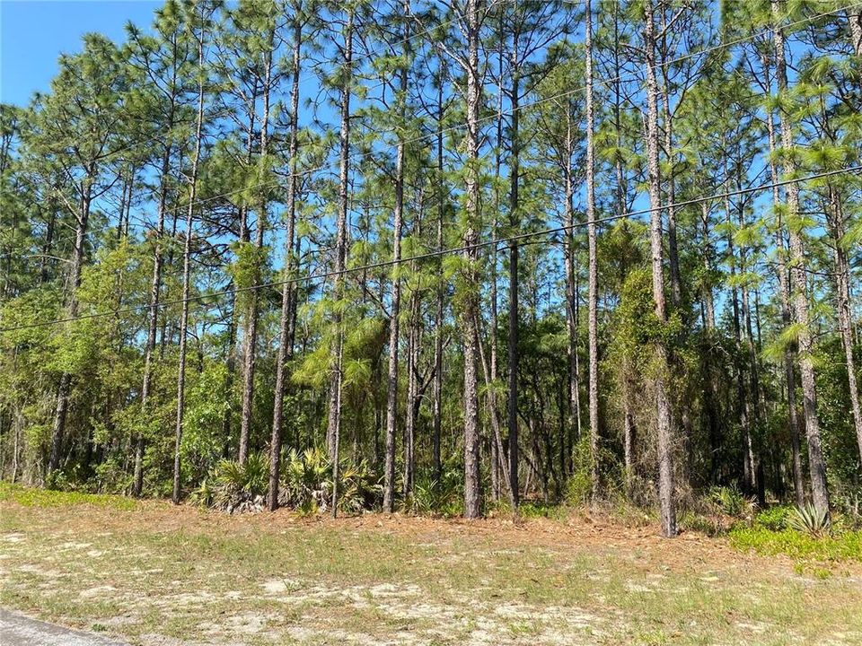 Recently Sold: $59,900 (1.43 acres)