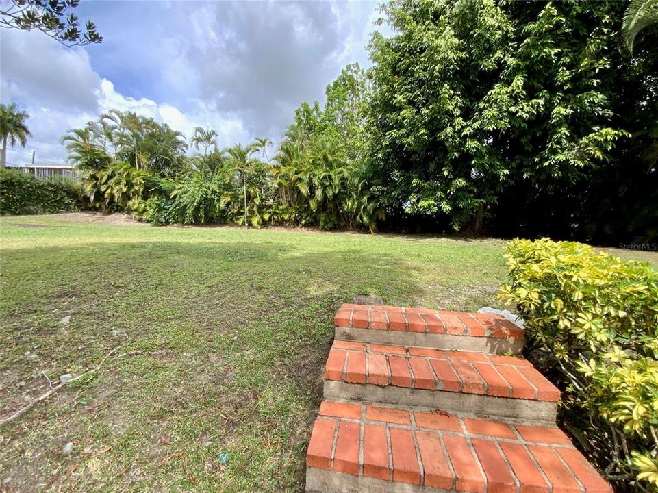 Backyard surrounded by beautiful trees