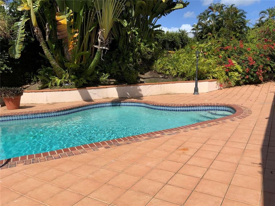 Refreshing pool with beautiful surroundings of  green areas