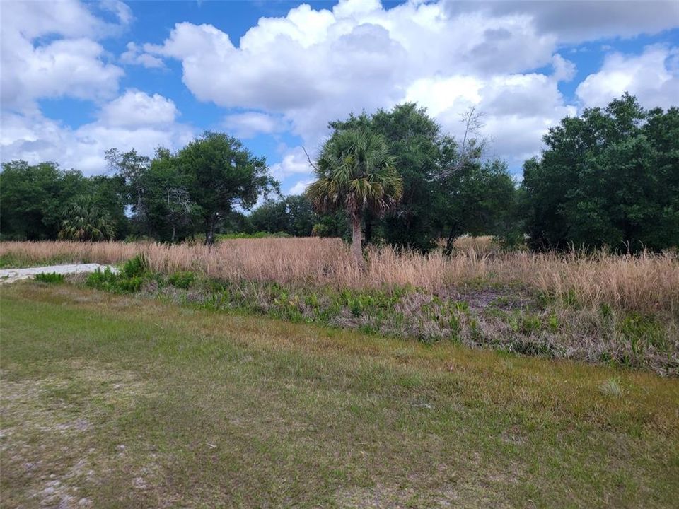 Recently Sold: $55,000 (2.50 acres)