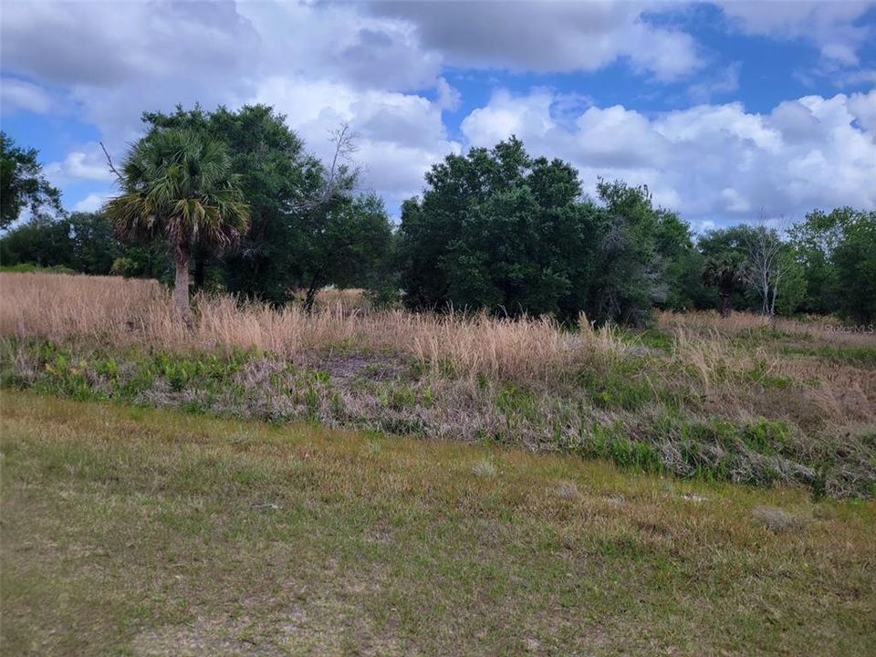 Recently Sold: $55,000 (2.50 acres)