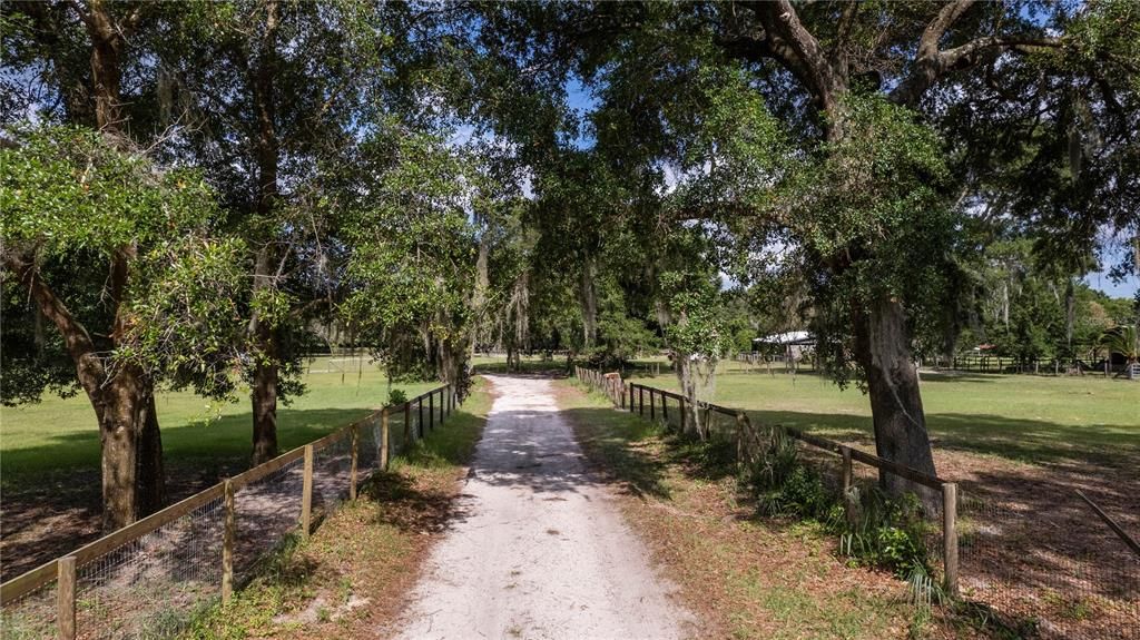 Canopy Tree Entrance