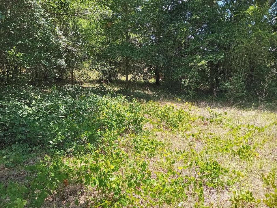 Recently Sold: $29,000 (1.16 acres)