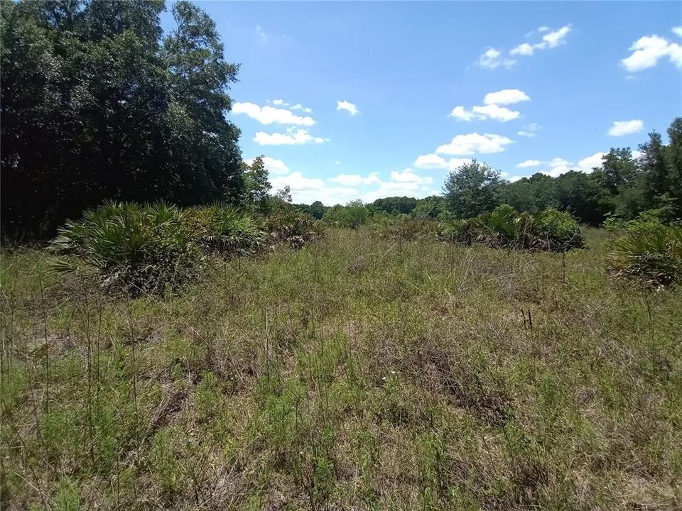 Recently Sold: $29,000 (1.16 acres)