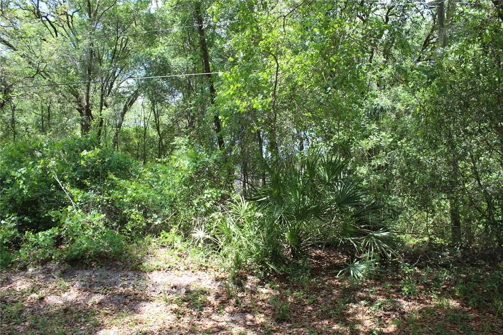 Recently Sold: $44,500 (0.17 acres)