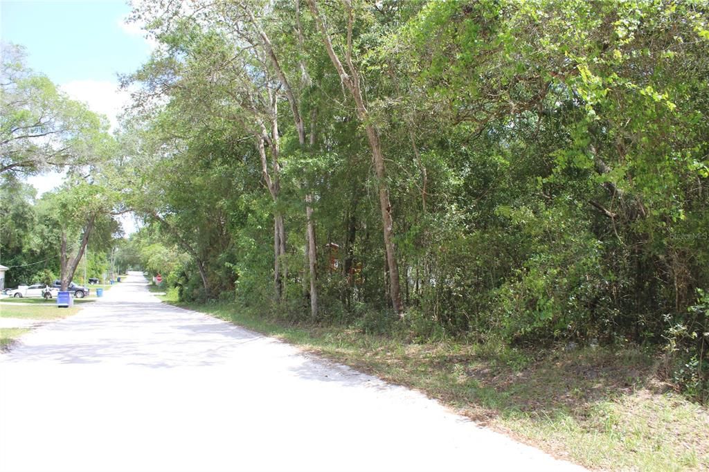 Vendido Recientemente: $44,500 (0.17 acres)