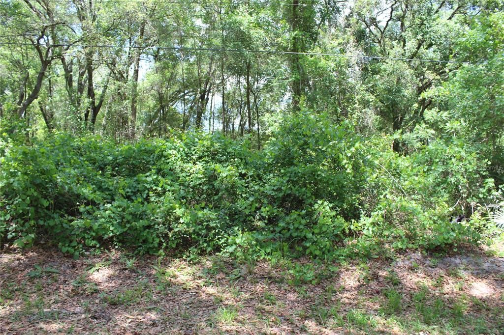 Recently Sold: $44,500 (0.17 acres)